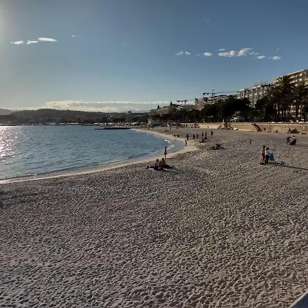Le Piree T2 Palm Beach Place De L Etang * Cannes